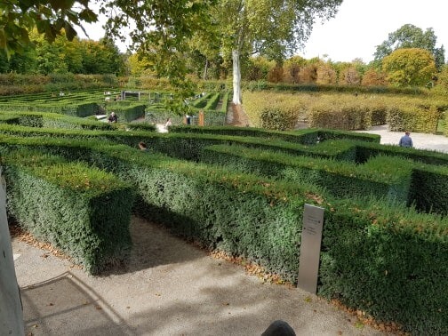 hedge maze at Schonbrunn palace, Vienna with kids 