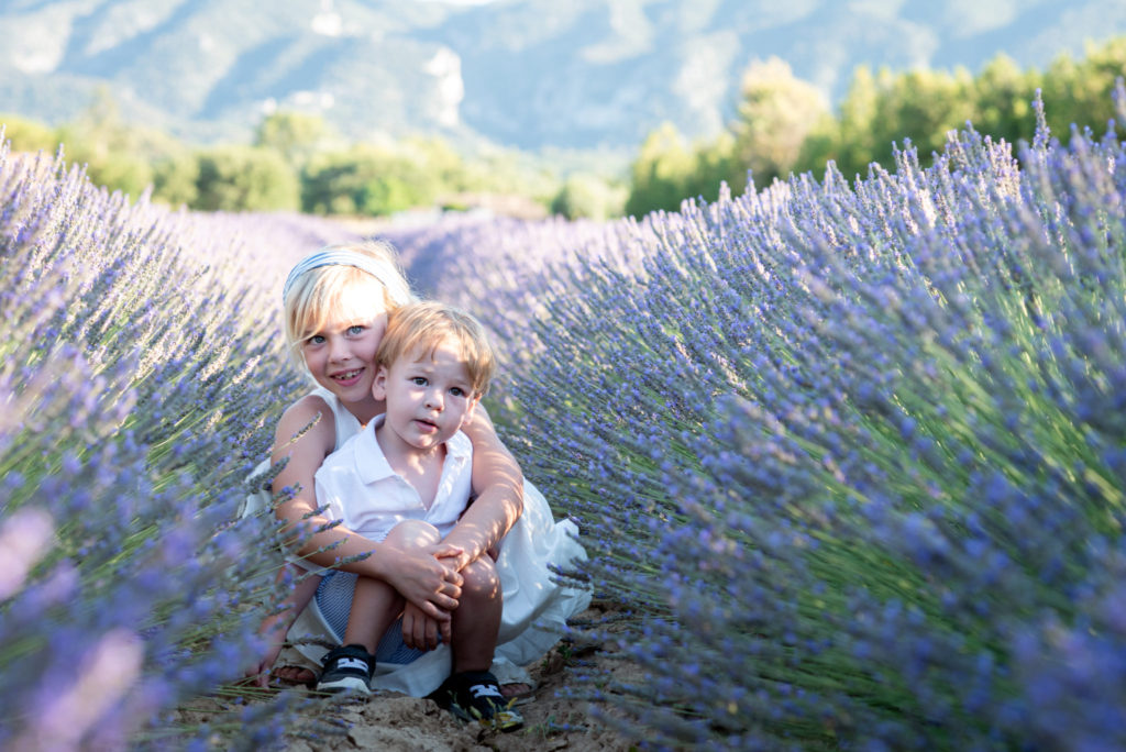 four days in provence during lavender season